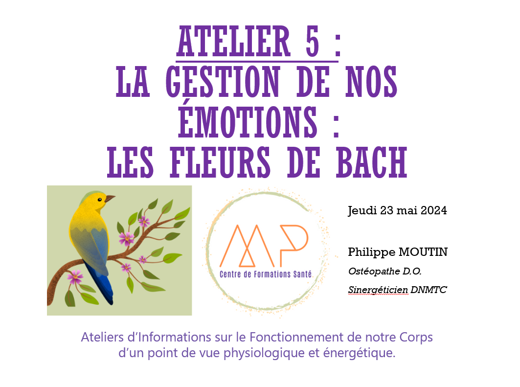 JMM Atelier 5 : Nos Emotions et les Fleurs de Bach